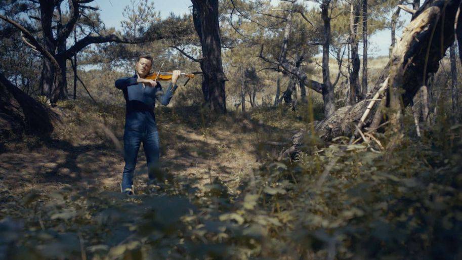 Click to enlarge image david-violin-2.jpg Click to enlarge image david-violin-2.jpg