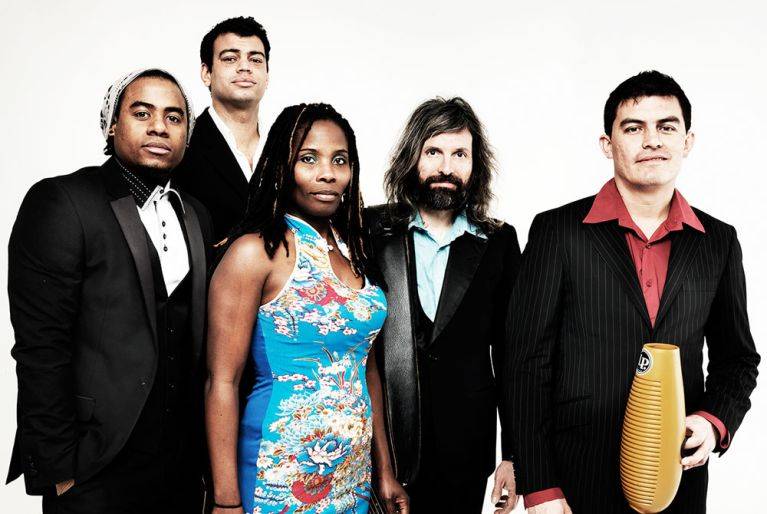 Click to enlarge image rumberito-01.jpg Click to enlarge image rumberito-01.jpg