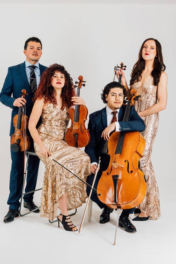 Click to enlarge image caribbean-strings-02.jpg Click to enlarge image caribbean-strings-02.jpg