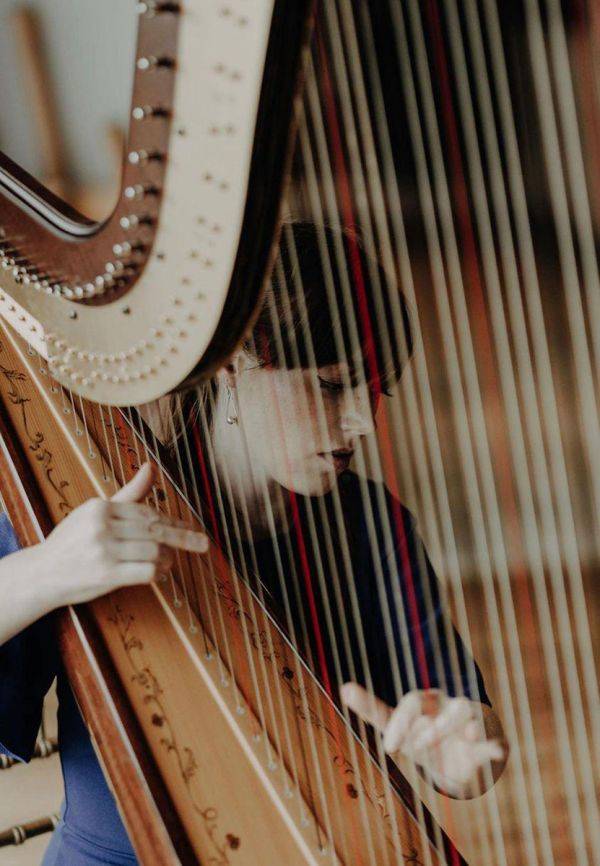 Click to enlarge image arabel-02.jpg Click to enlarge image arabel-02.jpg