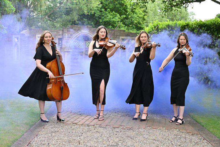 Click to enlarge image opal-strings-07.jpg Click to enlarge image opal-strings-07.jpg