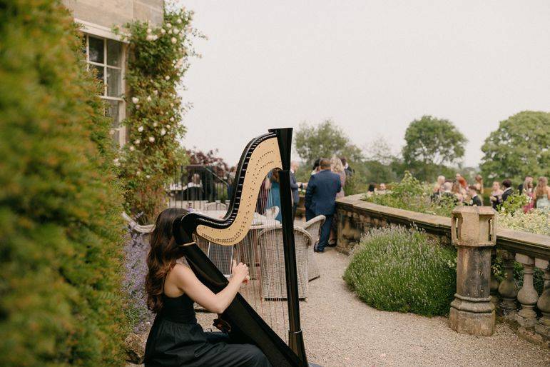 Click to enlarge image frances-16.jpg Click to enlarge image frances-16.jpg