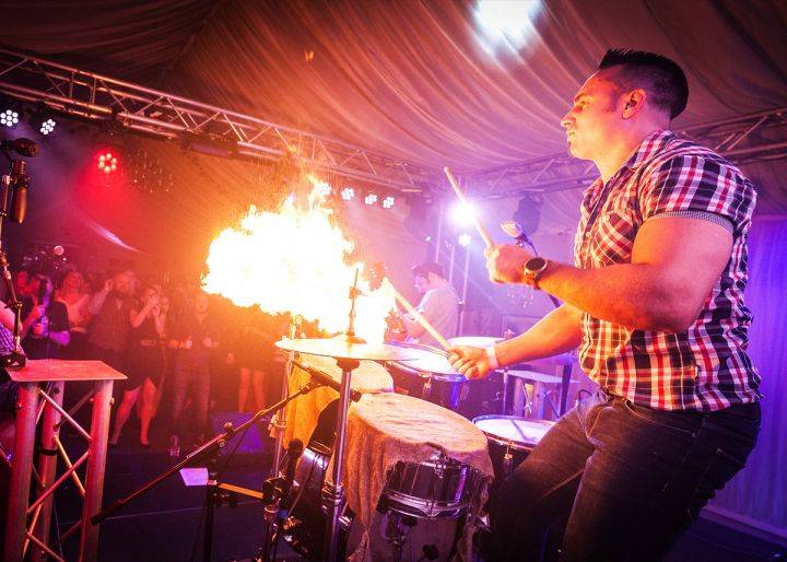 Click to enlarge image hound-dogs-13.jpg Click to enlarge image hound-dogs-13.jpg