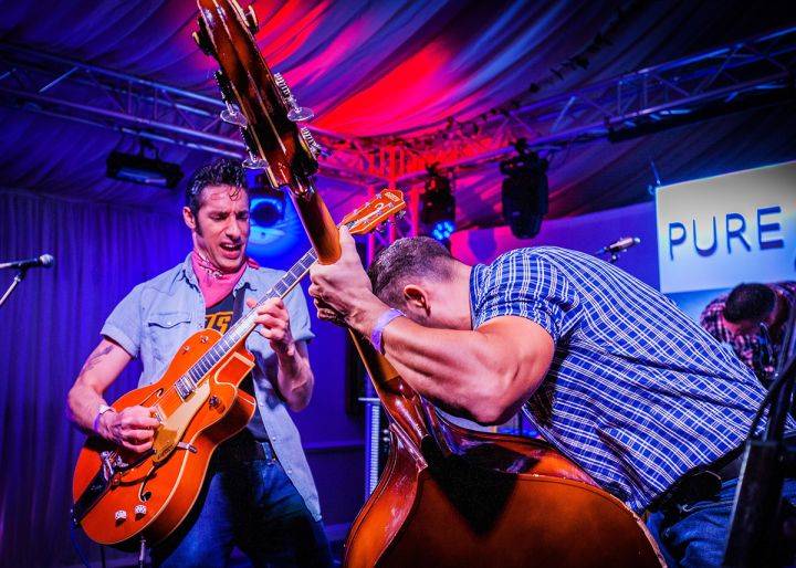 Click to enlarge image hound-dogs-15.jpg Click to enlarge image hound-dogs-15.jpg