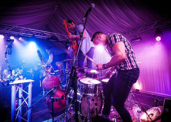 Click to enlarge image hound-dogs-16.jpg Click to enlarge image hound-dogs-16.jpg