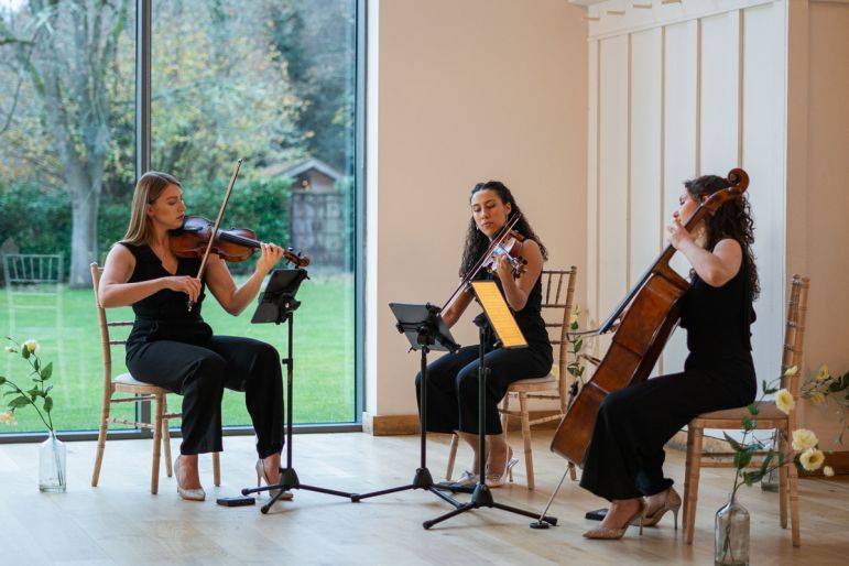 Click to enlarge image midnight-strings-01.jpg Click to enlarge image midnight-strings-01.jpg