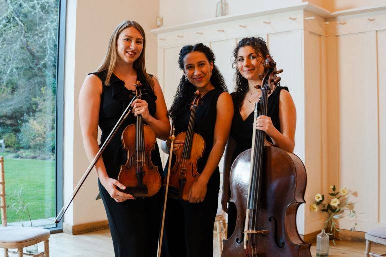 Click to enlarge image midnight-strings-04.jpg Click to enlarge image midnight-strings-04.jpg