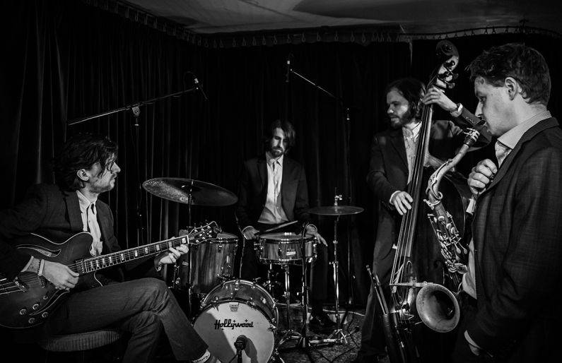 Click to enlarge image strawberry-jazz-03.jpg Click to enlarge image strawberry-jazz-03.jpg