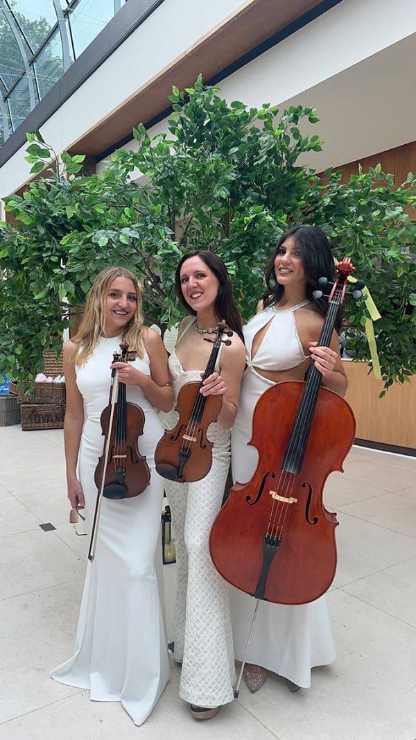 Click to enlarge image luxe-strings-04.jpg Click to enlarge image luxe-strings-04.jpg