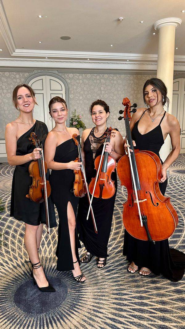 Click to enlarge image luxe-strings-11.jpg Click to enlarge image luxe-strings-11.jpg