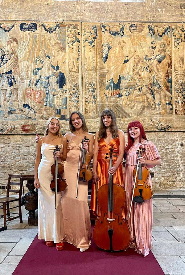 Click to enlarge image luxe-strings-12.jpg Click to enlarge image luxe-strings-12.jpg