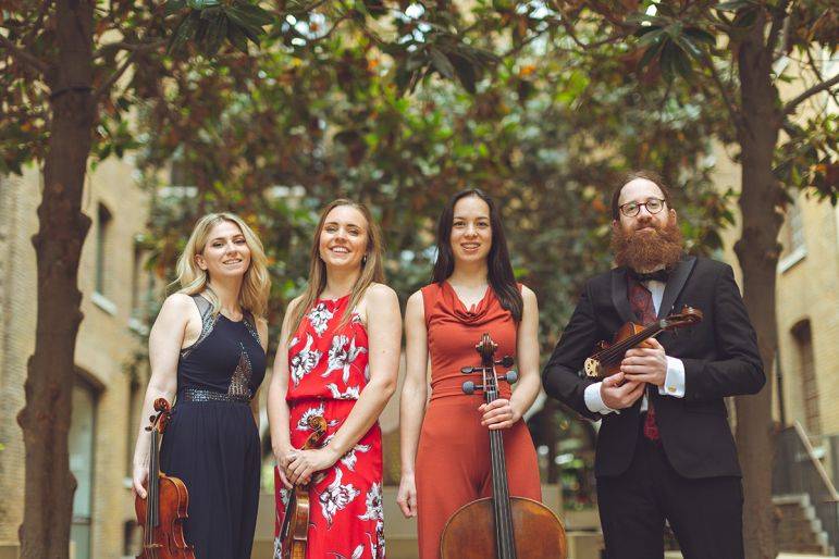 Click to enlarge image finesse-strings-02.jpg Click to enlarge image finesse-strings-02.jpg