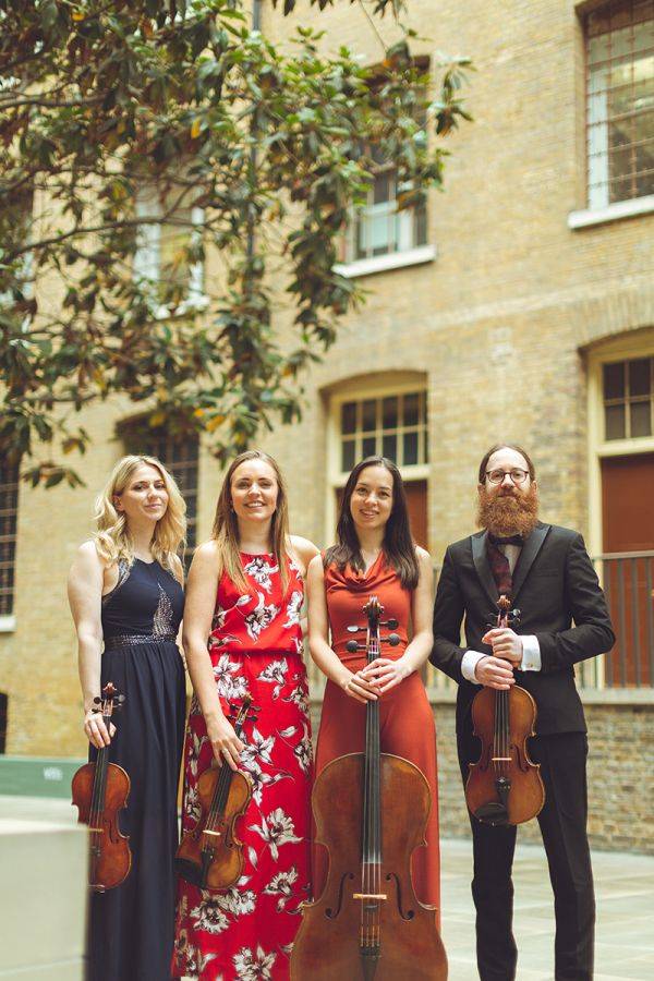 Click to enlarge image finesse-strings-04.jpg Click to enlarge image finesse-strings-04.jpg