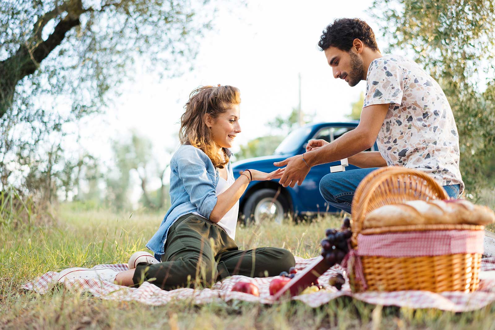 Picnic proposal