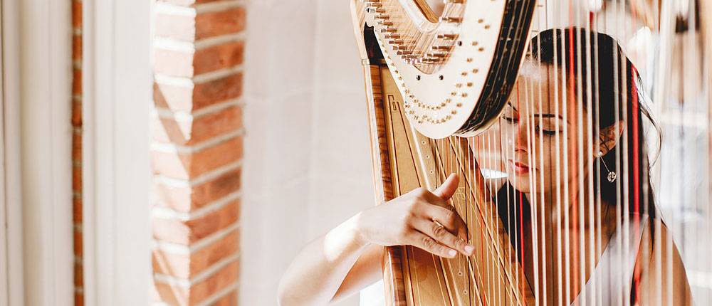 Gloucestershire Harpists