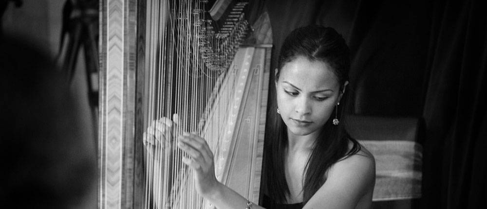 Warwickshire Harpists