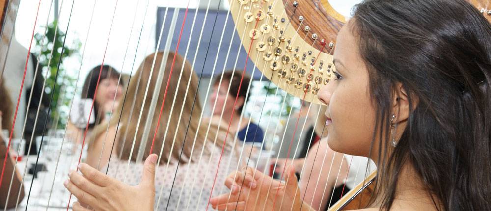 West Sussex Harpists