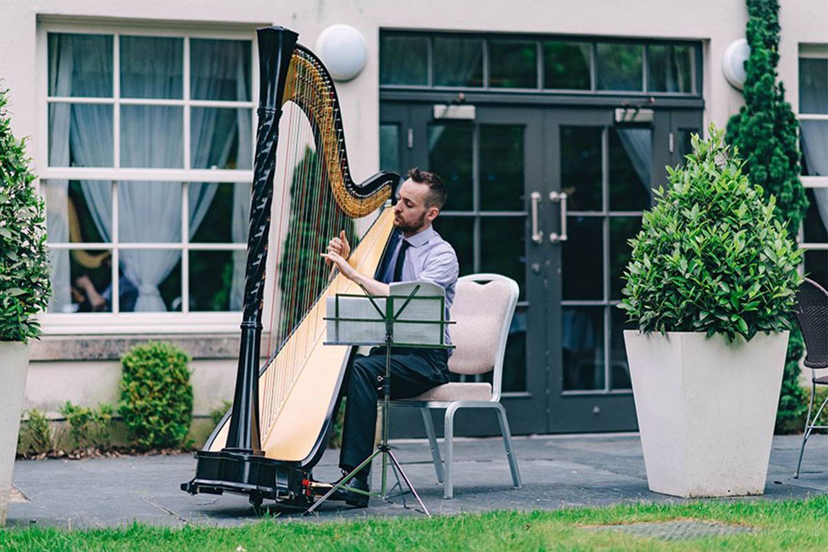 South East based Solo Harpist