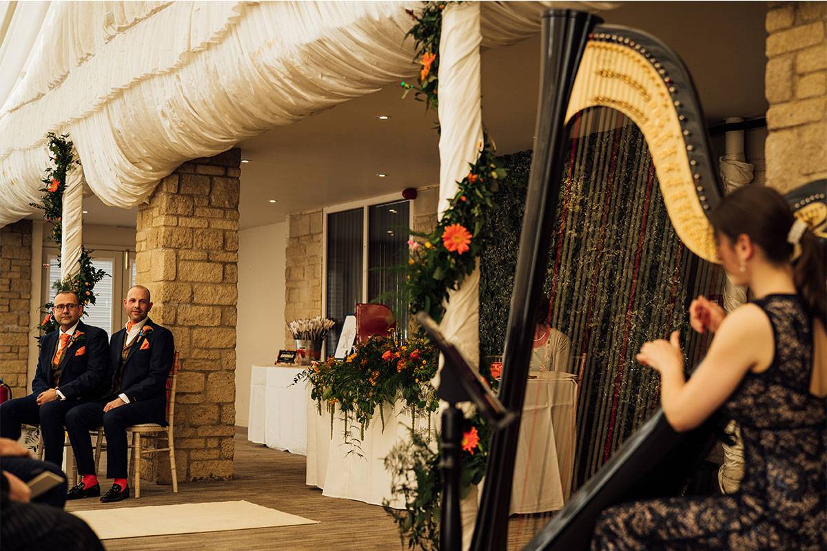 Solo Harpist for Weddings and Events