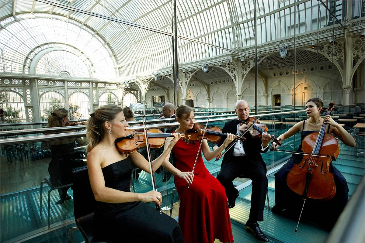 Talented and Experienced String Duo, Trio and Quartet