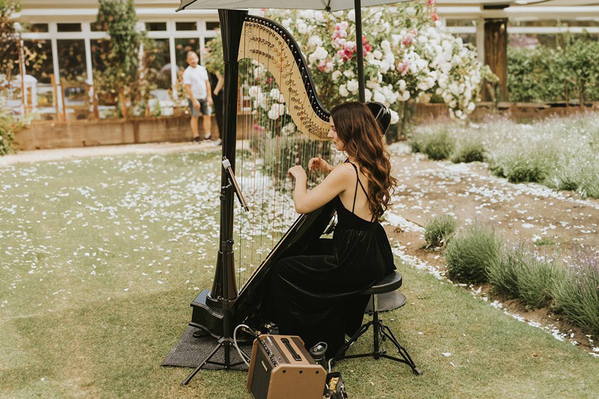 North East Female Solo Harpist