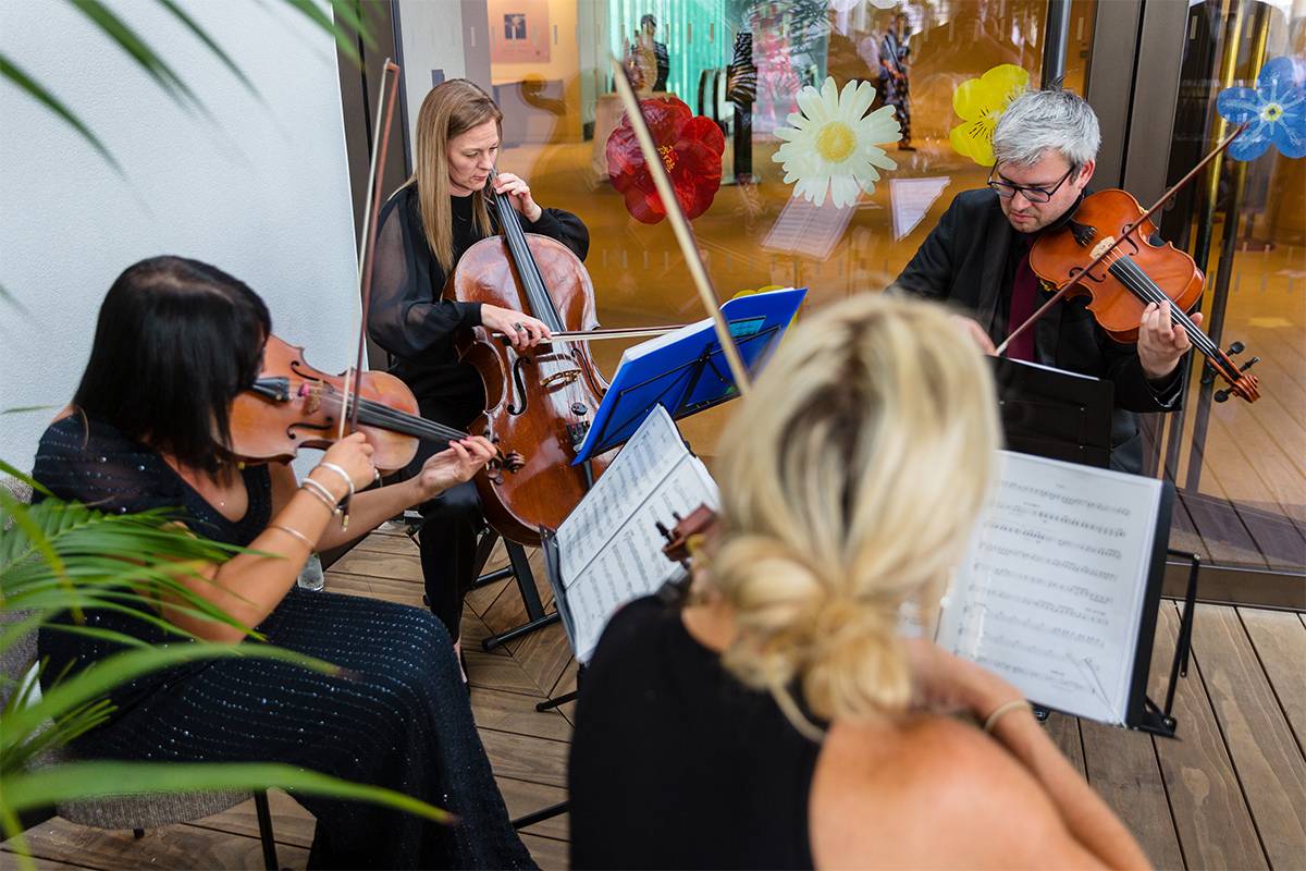 Classical & Pop String Ensemble