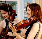 Arbour Strings Reviews