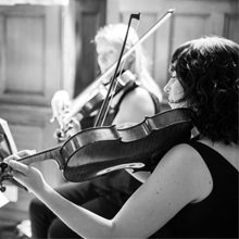 Austen Quartet Reviews