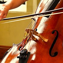 Euphoria Strings Reviews