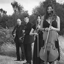 The Hills Quartet Reviews