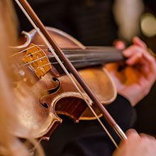 Vivid Strings Reviews