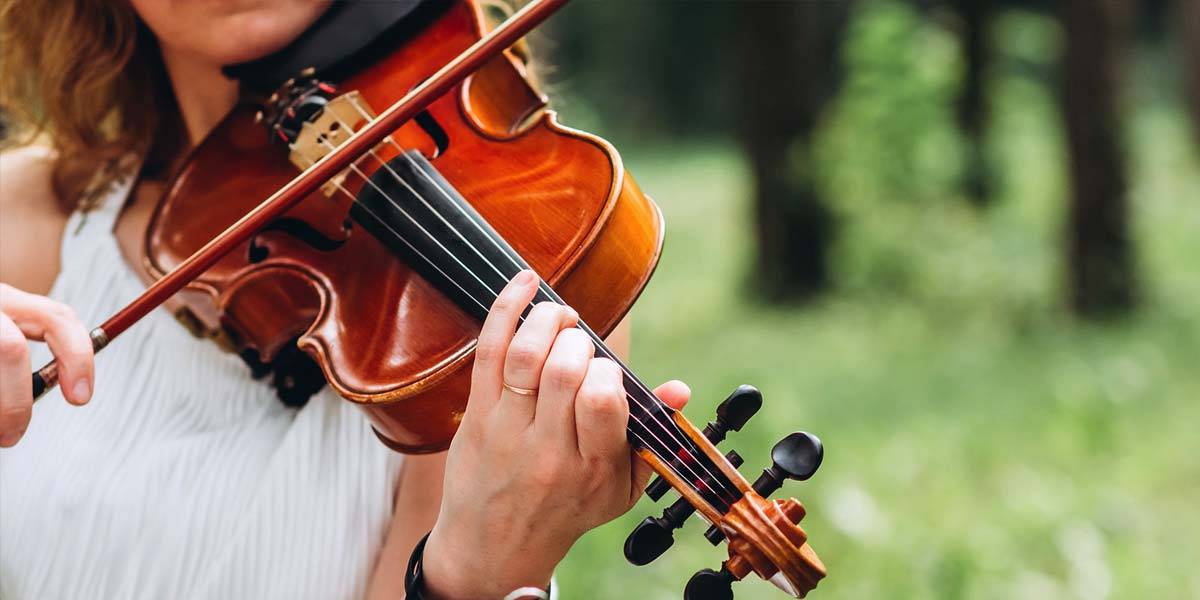 North East String Quartets