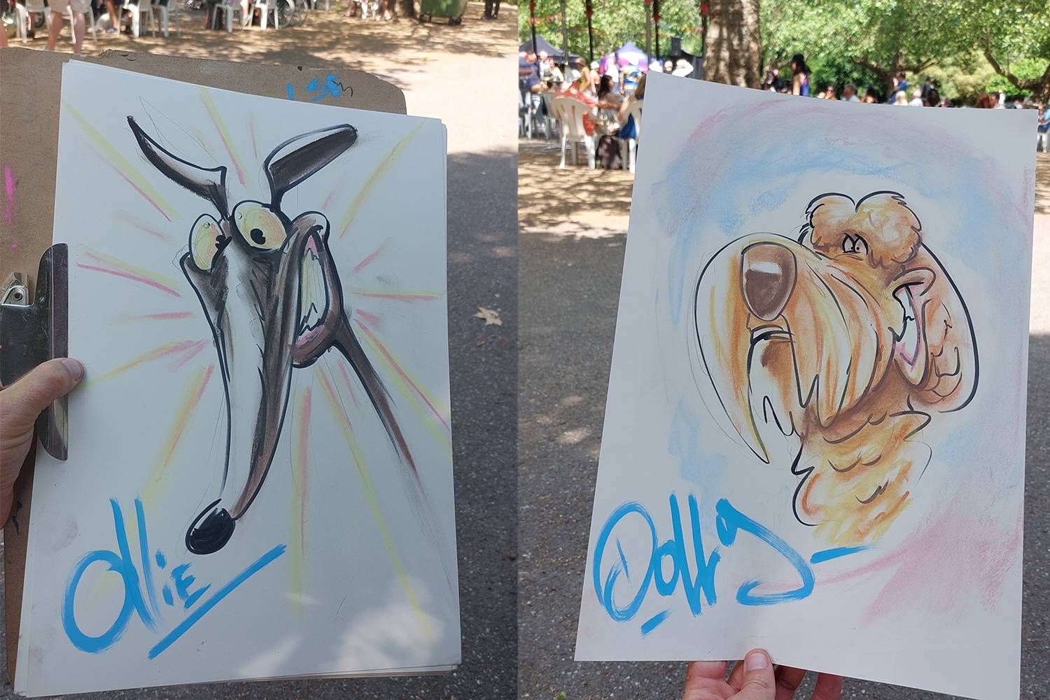 Professional Illustrator & Caricaturist