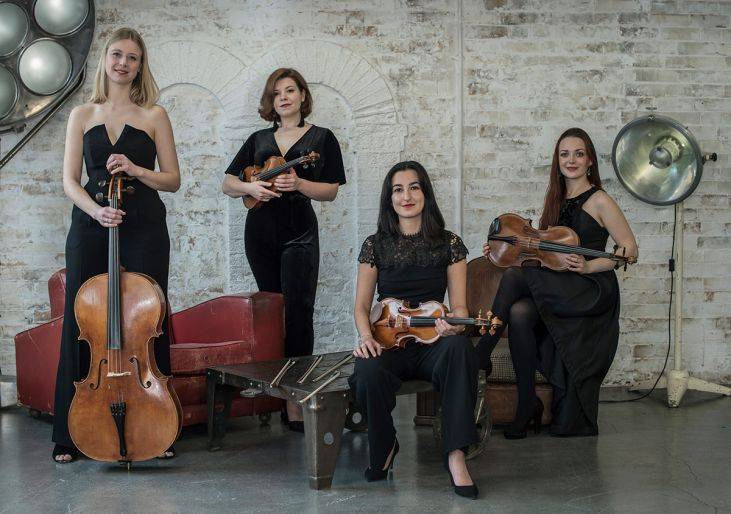 Click to enlarge image pacifico-strings-07.jpg