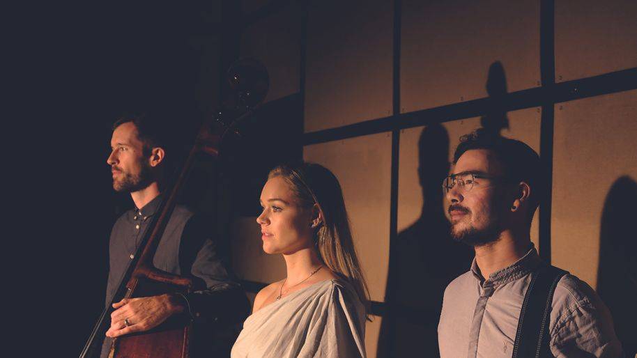 Click to enlarge image blue-soire-03.jpg