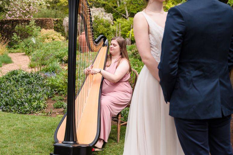 Click to enlarge image elizabeth-04.jpg