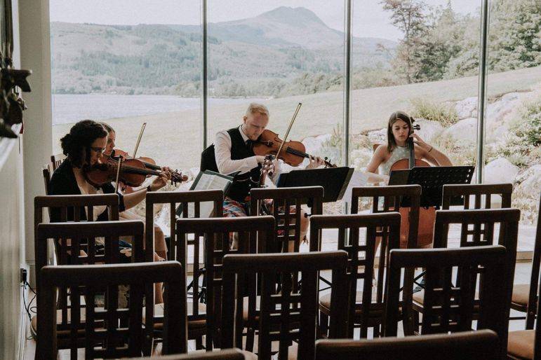 Click to enlarge image cinema-strings-01.jpg