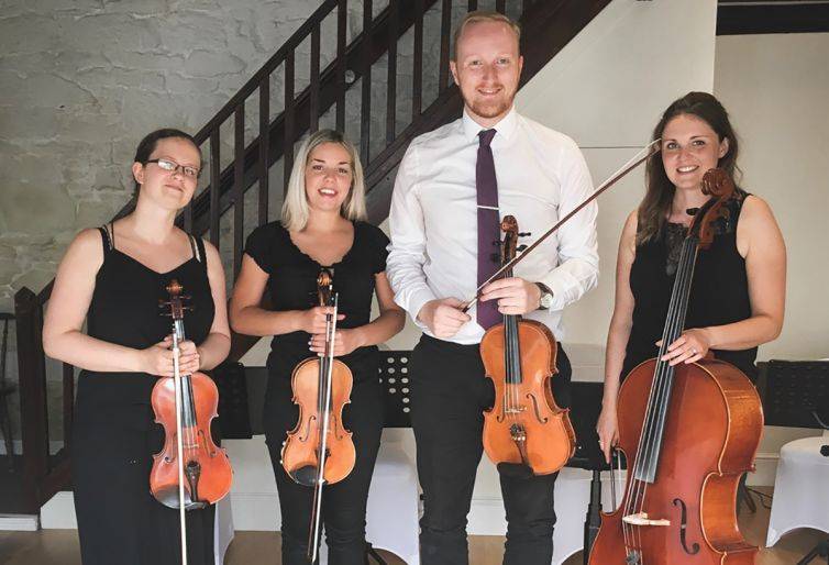 Click to enlarge image cinema-strings-03.jpg