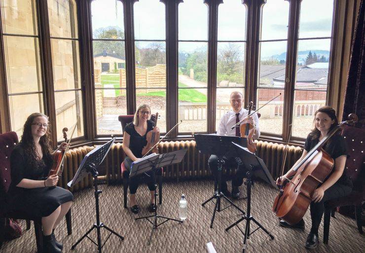 Click to enlarge image cinema-strings-04.jpg