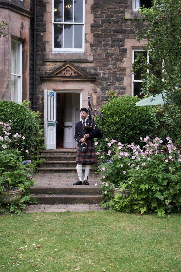 Click to enlarge image moorland-piper-04.jpg