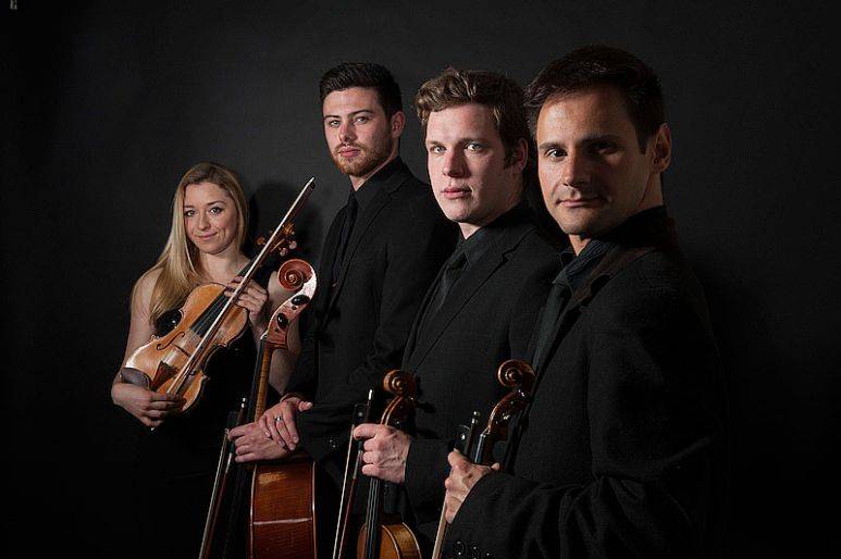 Click to enlarge image golden-01.jpg