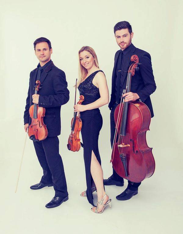 Click to enlarge image golden-03.jpg