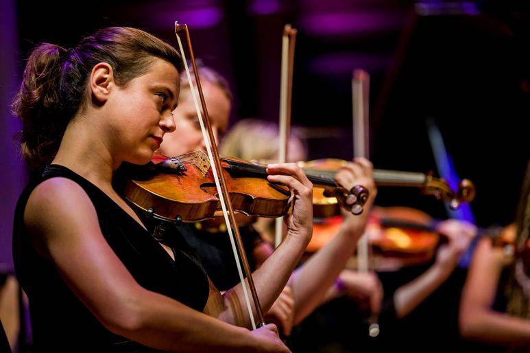 Click to enlarge image total-orchestra-08.jpg