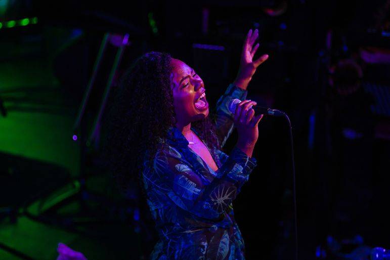 Click to enlarge image icon-orchestra-14.jpg