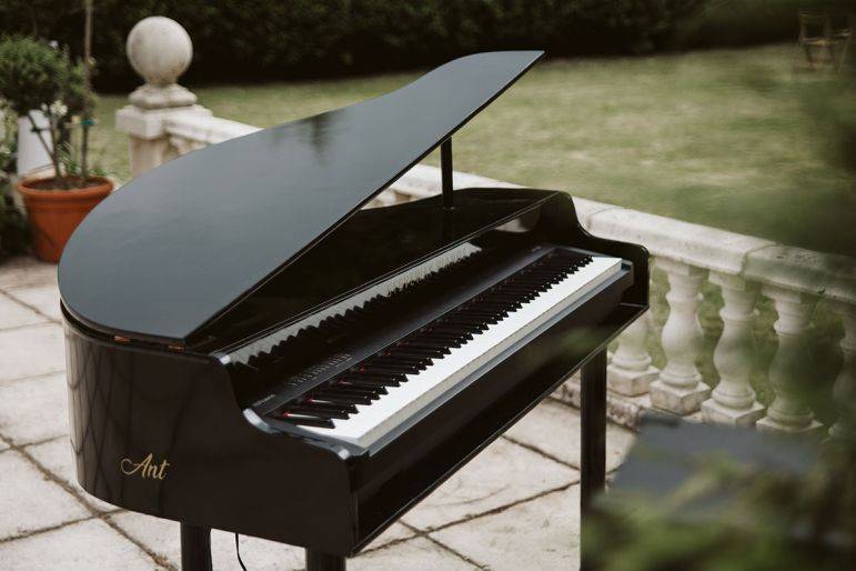 Click to enlarge image ant-shell-2.jpg