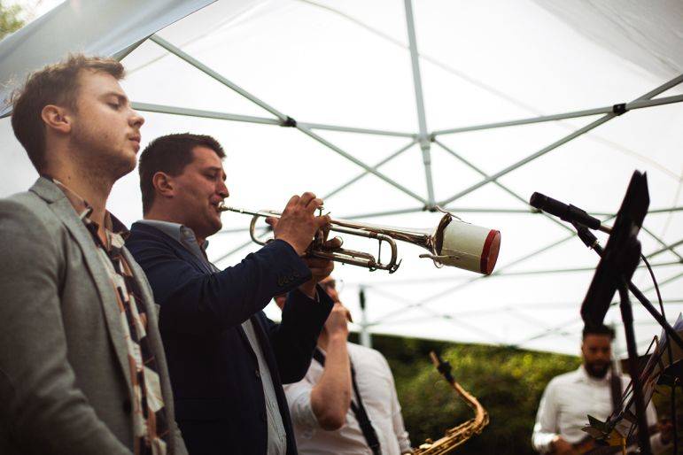 Click to enlarge image jazz-wings-04.jpg