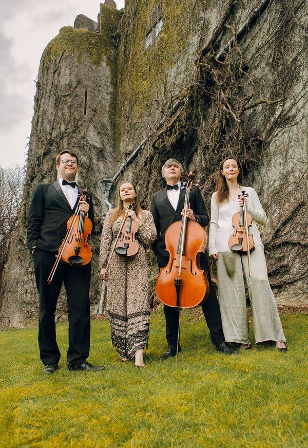 Click to enlarge image cardiff-strings-01.jpg