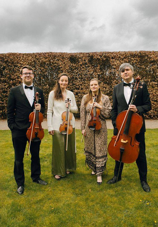 Click to enlarge image cardiff-strings-03.jpg