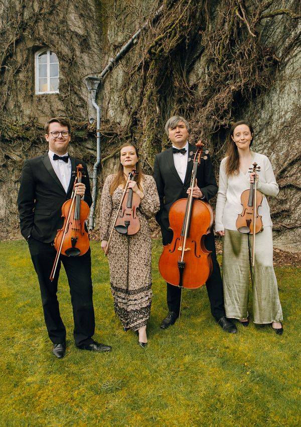 Click to enlarge image cardiff-strings-05.jpg