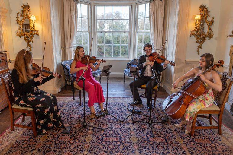 Click to enlarge image cardiff-strings-13.jpg